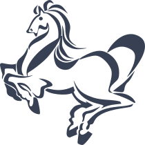 Punctual Horse Sticker