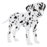 Puppy Dalmatian Cute Sticker