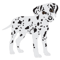 Puppy Dalmatian Cute Sticker
