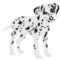 Puppy Dalmatian Cute Sticker