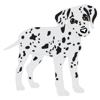 Puppy Dalmatian Cute Sticker