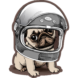Puppy Pug In A Racer Helmet Sticker