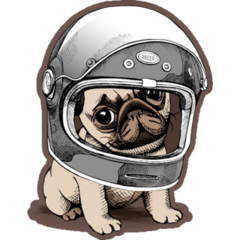 Puppy Pug In A Racer Helmet Sticker
