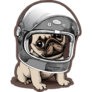 Puppy Pug In A Racer Helmet Sticker