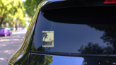 Pura Vida Poster Sticker on a Rear Car Window (New) example