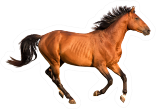 Purebred Red Horse Running Sticker