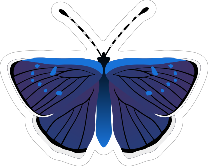 Purple and Blue Butterfly Sticker