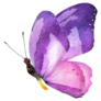 Purple and Pink Watercolor Butterfly Sticker