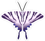 Purple and White Butterfly Sticker
