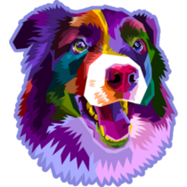 Purple Border Collie Art Sticker