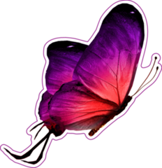 Purple Butterfly Sticker