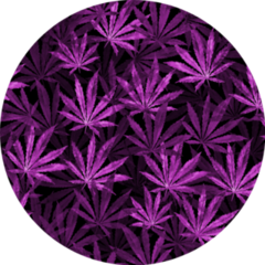 Purple Cannabis Leaves On Black Background Pattern Sticker