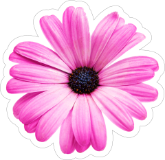 Purple Daisy Flower Sticker