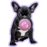 Purple Gum French Bulldog Sticker