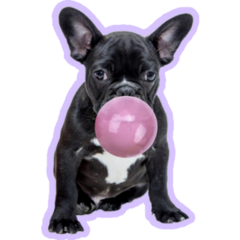 Purple Gum French Bulldog Sticker