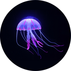Purple Jellyfish On Black Sticker