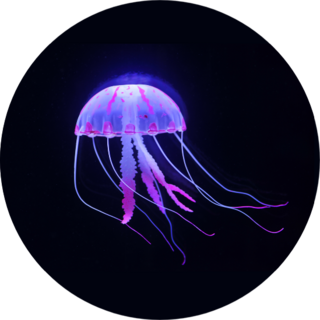 Purple Jellyfish On Black Sticker