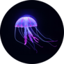 Purple Jellyfish On Black Sticker