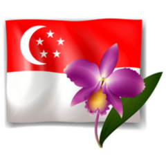 Purple Orchid And Singapore Flag Sticker