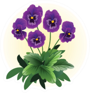 Purple Pansy Viola Flower Illustration Sticker