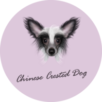 Purple Portrait Chinese Dog Sticker