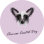 Purple Portrait Chinese Dog Sticker