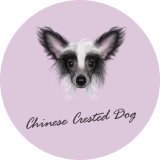Purple Portrait Chinese Dog Sticker