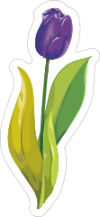 Purple Tulip Flower Sticker