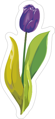 Purple Tulip Flower Sticker