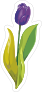 Purple Tulip Flower Sticker