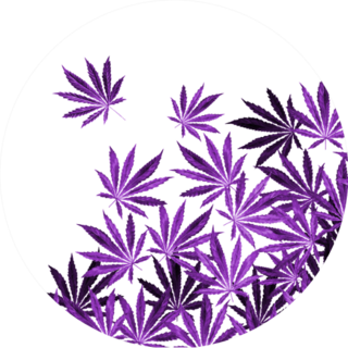 Purple, Violet Cannabis Leaves In Circle Sticker
