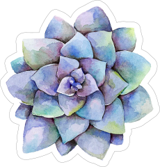 Purple Watercolor Succulent Sticker