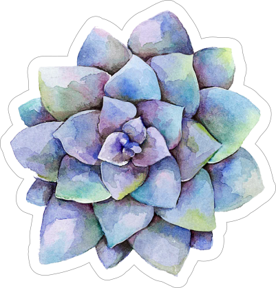 Purple Watercolor Succulent Sticker