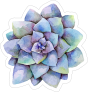 Purple Watercolor Succulent Sticker