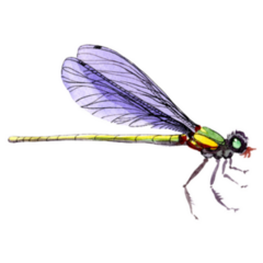Purple Winged Dragonfly Sticker