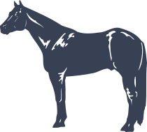 Quarter Horse Sticker