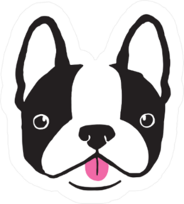 Quirky Boston Terrier Face Sticker