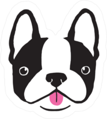 Quirky Boston Terrier Face Sticker