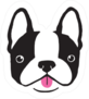 Quirky Boston Terrier Face Sticker