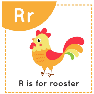 R Is For Rooster Sticker