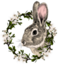 Rabbit In A Frame Of Tree Sketch Sticker