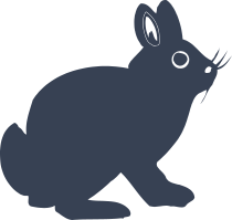 Rabbit With Big Eyes Sticker