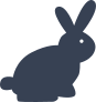Rabbit With Fluffy Tail Sticker