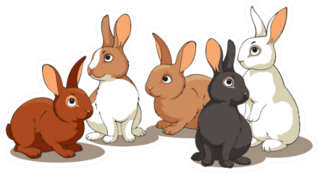 Rabbits In A Group Sticker