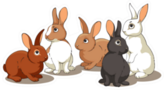 Rabbits In A Group Sticker