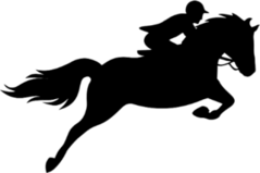 Race Horse Silhouette Sticker