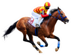 Racetrack Horse Isolated On White Background Sticker