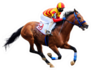 Racetrack Horse Isolated On White Background Sticker