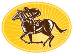 Racing Horse And Jockey Oval Sticker