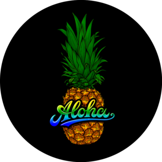 Rainbow Aloha Lettering Over Hawaii Pineapple Sticker